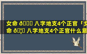 女命 🐟 八字地支4个正官「女命 🦅 八字地支4个正官什么意思」